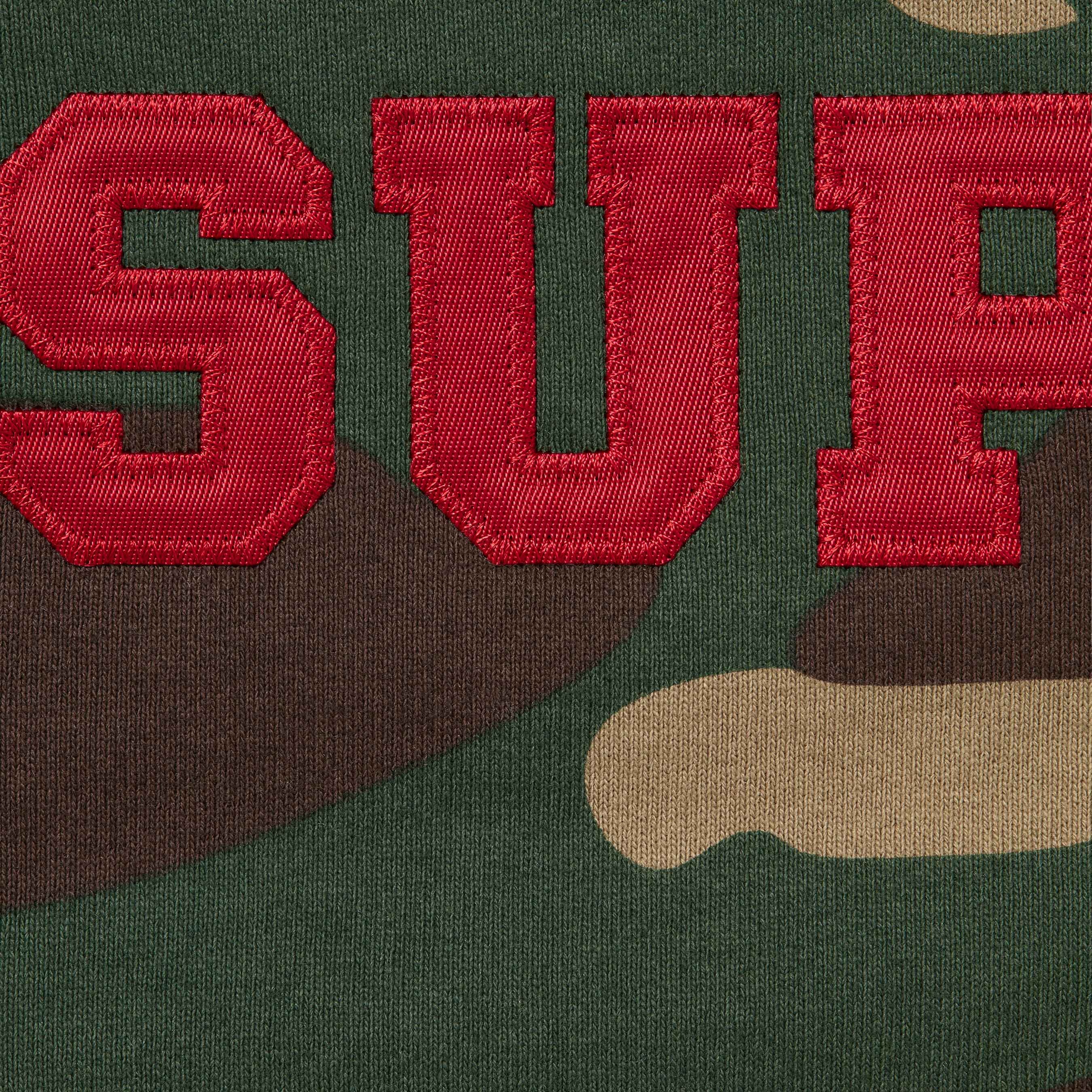Collegiate Appliqué Zip Up Hooded Sweatshirt view 13